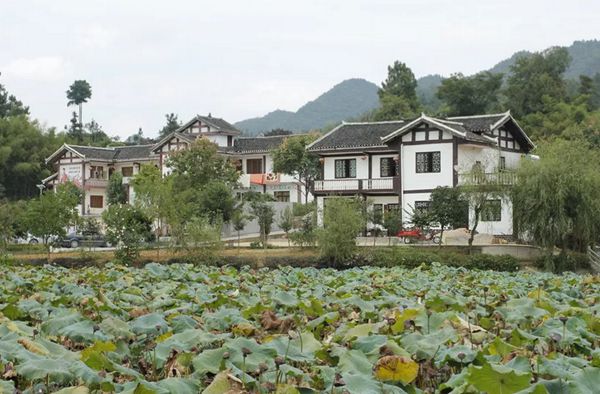 回歸鄉村，方知幸福 【輕鋼別墅】(圖7)