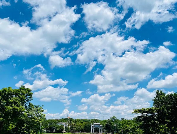 海南：放寬社會資本進入農村的限制！中國大農場時代來臨？(圖1)